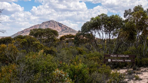 Peak Charles Trail Walk (2km) Peak charles trail walk (2km)