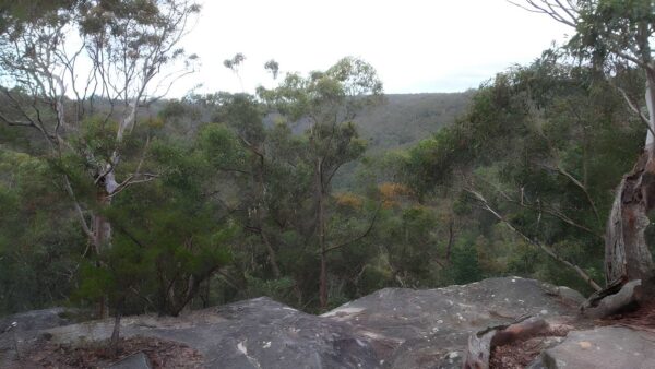 Raymond Road to Lawsons Lookout Walk (200m) Raymond road to lawsons lookout walk (200m)