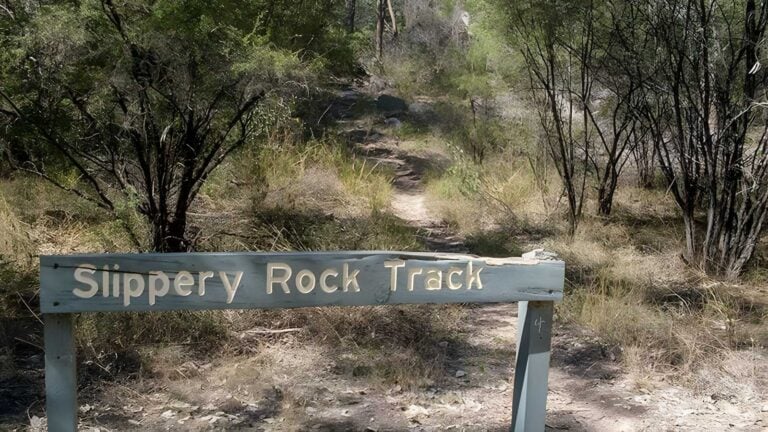Slippery rock walking track (4km)