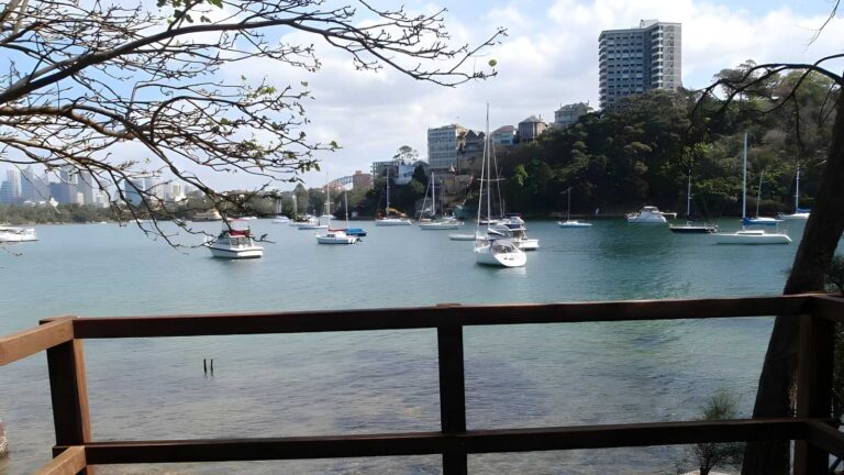 Taronga zoo to camp curlew walk (900m)