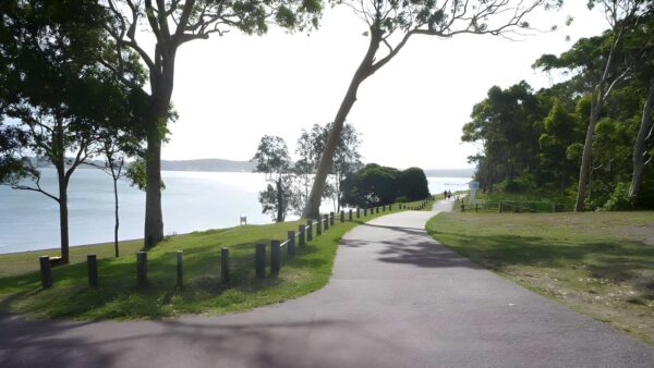 The Lookout Circuit Walk (2.4km) The lookout circuit walk (2. 4km)