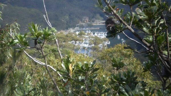 Slade lookout track (1. 6km)