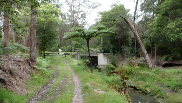 Wareemba Ave to Thornleigh Station Hike (8.6km) Wareemba ave to thornleigh station hike (8. 6km)