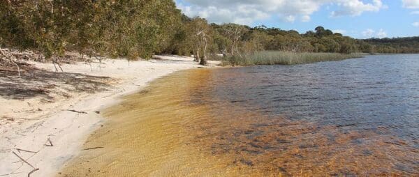 Hikes Brown lake north stradbroke island 600x254