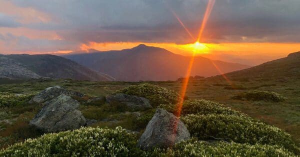 Falls to Hotham Alpine Crossing Hike (37km) Fainter and spion kopje firetrail circuit 7 1 600x315