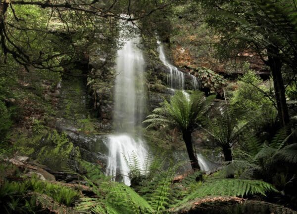 Marriotts falls 600x433