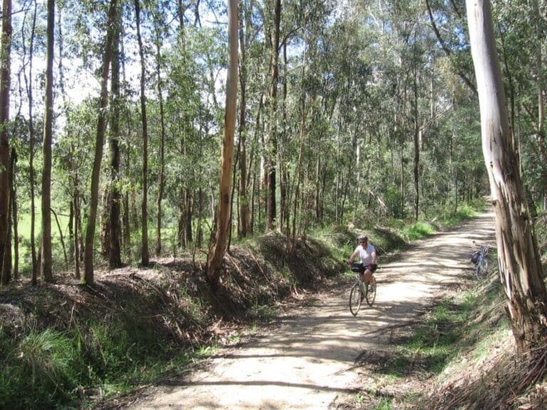 Rokeby to Crossover Rail Trail (5km) Rokeby to crossover rail trail 768x576
