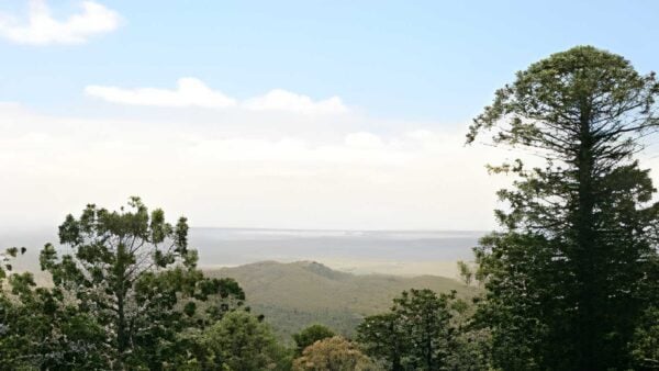 Barker creek lookout track (5. 4km)