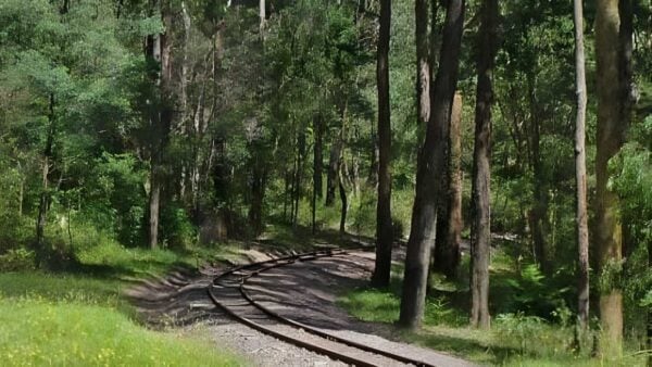 Emerald to cockatoo trail walk (6. 2m)