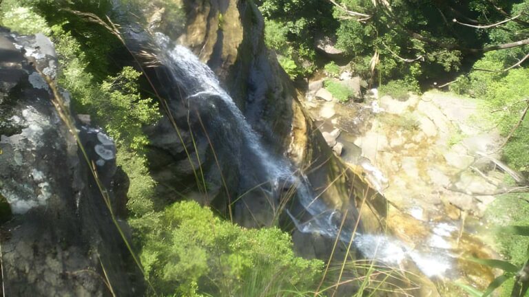 Round walk - leura cascades loop (800m)