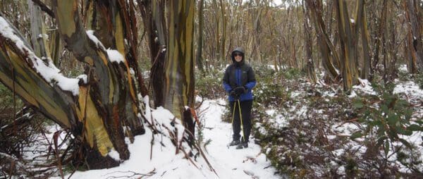 Mount St Gwinear to Mount Whitelaw Hike (25.2km) Trail hiking mount st gwinear 8km 600x254