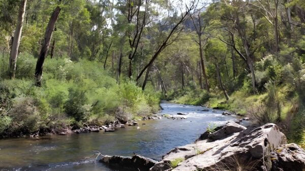Yarrangobilly River Walk (3km) Yarrangobilly river walk (3km)