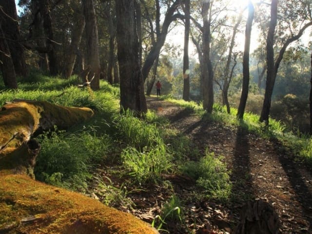 Blackwood River Walk (6km) Blackwood river walk