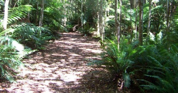 Evercreech Rivulet Falls Walk (3.7km) Evercreech 600x315