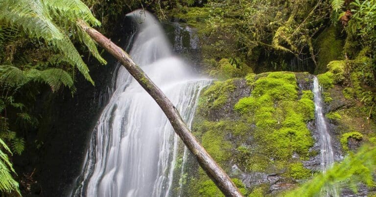 Mavista falls 768x403