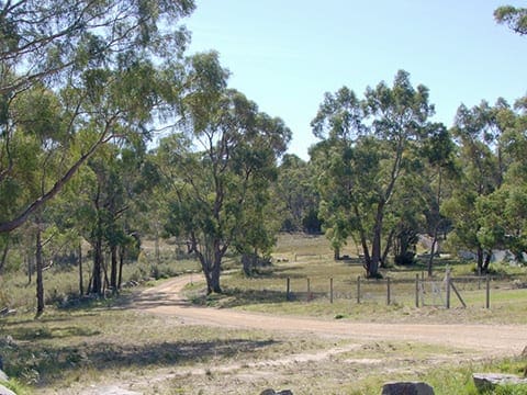Tinderbox Hills Track (9.5km) Peter murrell reserves and coffee creek track