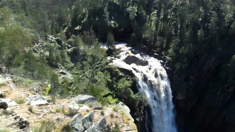 Grove Creek Falls Walking Track (6km) Grove creek falls walking track (6km)