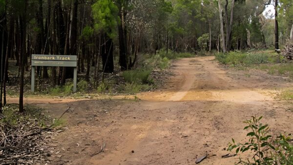 Ironbark Walking Track (4km) Ironbark walking track (4km)