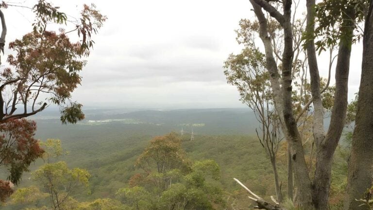Mount Sugarloaf Northern Track (3.8km) Mount sugarloaf northern track (3. 8km)