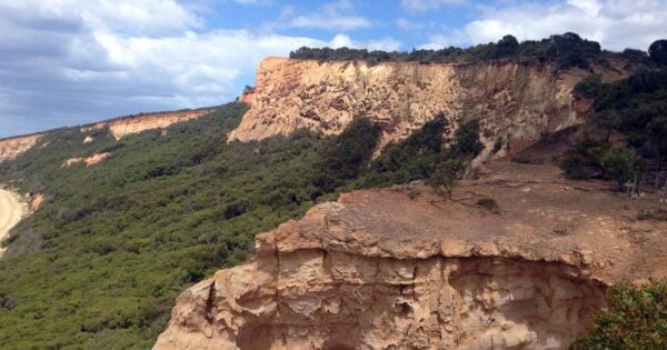 Bells beach & ironbark forest hike (11. 1km)