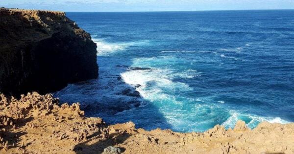 Hikes Blowholes to cape bridgewater seal colony 600x315