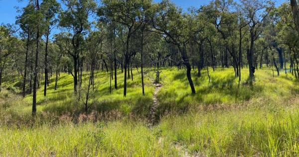 Carnarvon great walk