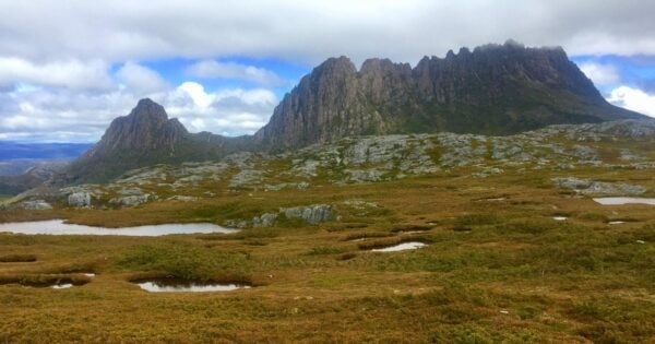 Ronny creek to cradle mountain summit (14km)