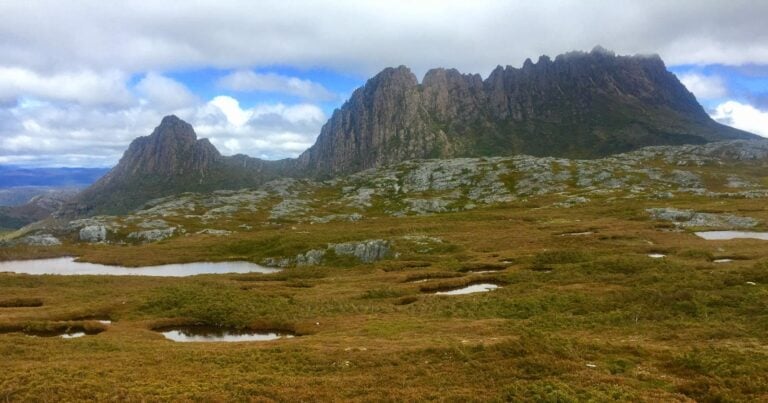 Ronny creek to cradle mountain summit (14km)