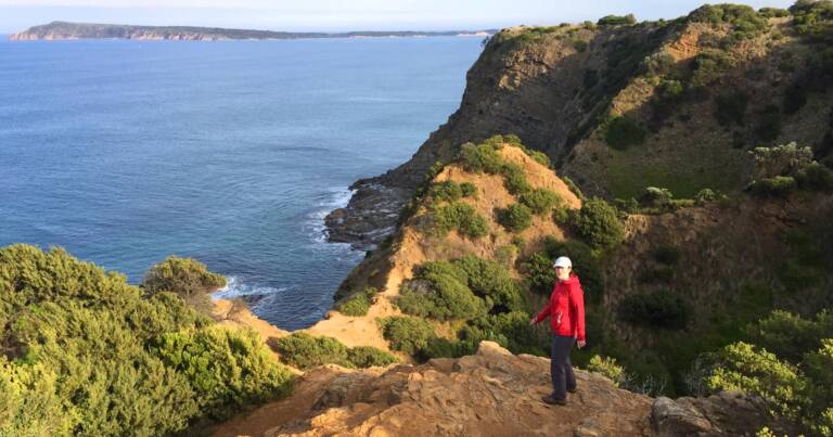 Find a hike or bushwalk