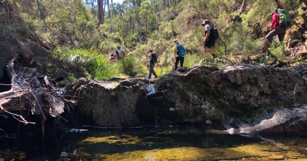 Hikes Hogan track and old river 600x315