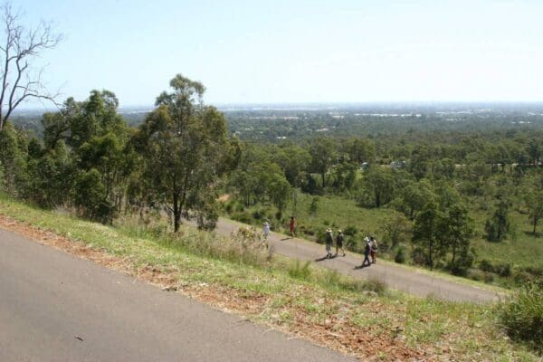 Kalamunda zig zag trail 600x400