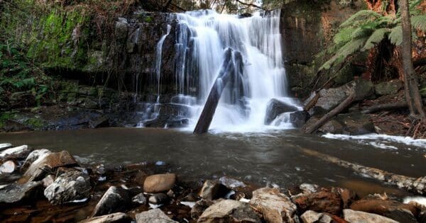 Hikes Lilydale falls 600x315