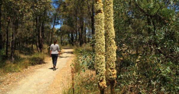 Hikes Manea park 600x315