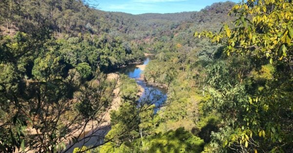 Mitchell river walking trail (25km)