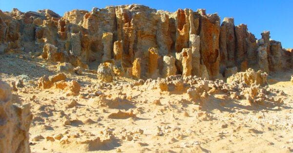 Hikes Petrified forest walk 600x315