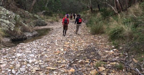 Pyrites creek circuit hike (14km)
