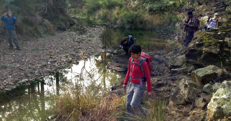 Find a hike or bushwalk