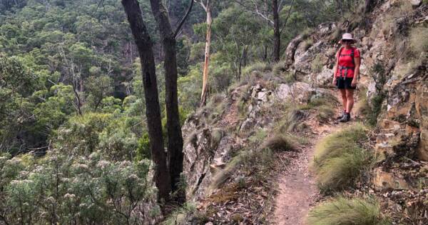 Hikes Ruth gully byers back track 600x315