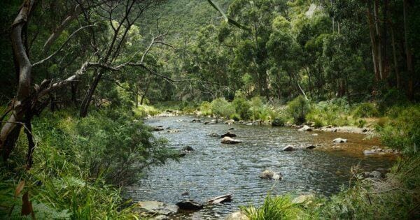 Hikes Lerderderg weir and river via spur track 600x315