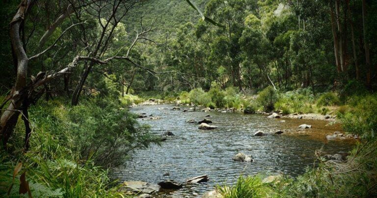 The Scenic Rim: River & Spur Track (16km) Lerderderg weir and river via spur track 768x404