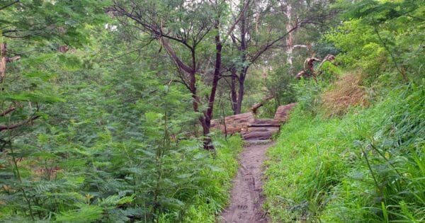 Hikes Trail hiking plenty gorge river hike 1 600x315