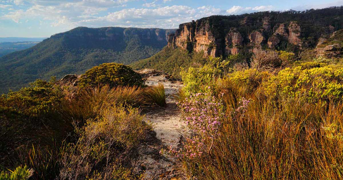 Best hikes in the australian capital territory