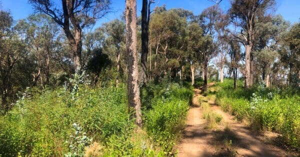 Hikes Fairy dell jeep track circuit 600x315