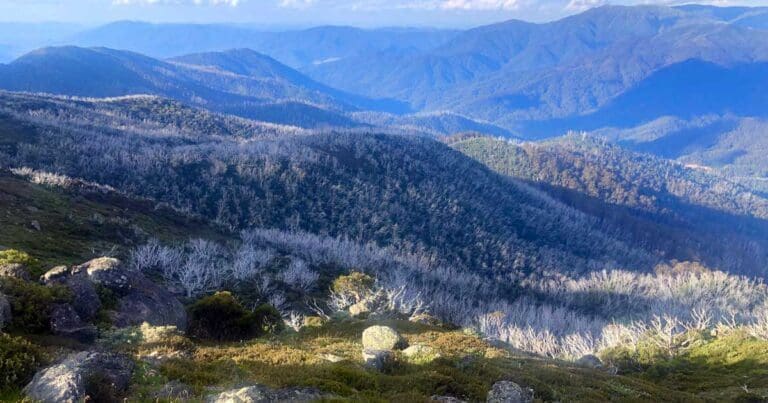 Best hikes in victoria