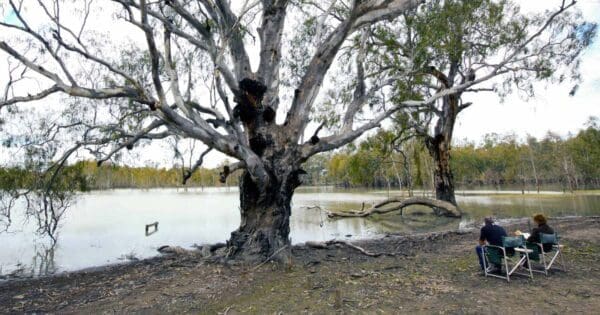 Lake mournpall 600x315