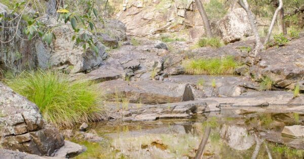 Hikes Ooline creek track 600x315