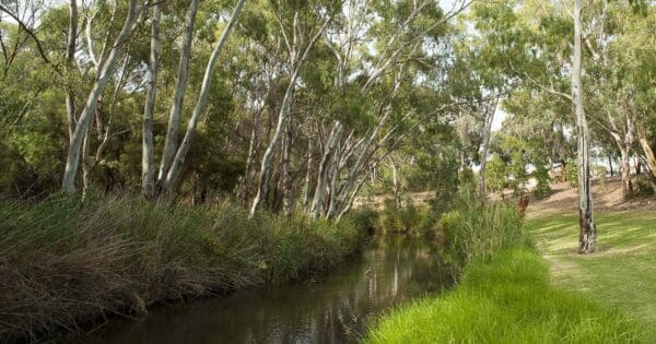 River torrens linear trail 600x315