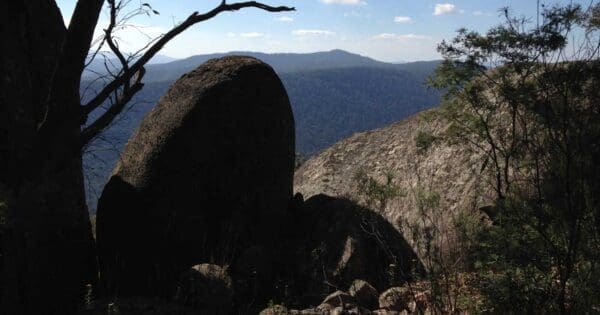 High Country Rail Trail (59km) Summit loop nature trail 1 600x315