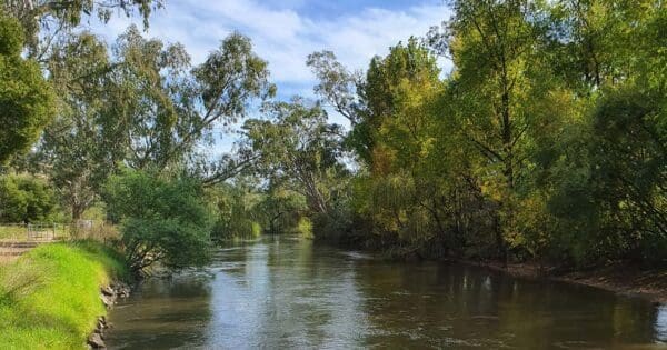 High Country Rail Trail (59km) Huon hill kiewa river 600x315