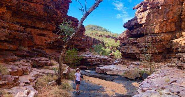 Hikes Chain of ponds walk 600x315